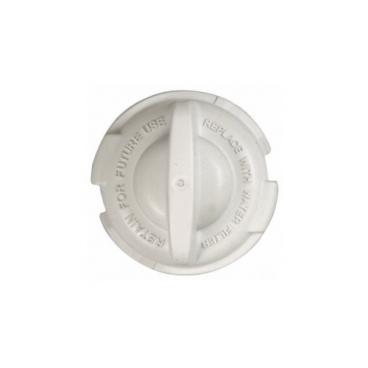 GE GFSF2KEXACC GSWF Water Filter Bypass Genuine OEM