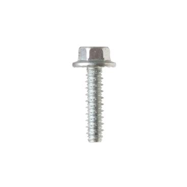 GE GTW500ASN0WS External Hex Platform Screw  - Genuine OEM