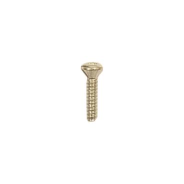 GE JGBP79AEB3AA Torx Mounting Screw - Genuine OEM