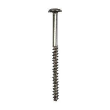 GE TPS24PBDABS Phillips Screw (8-16, 2in) - Genuine OEM