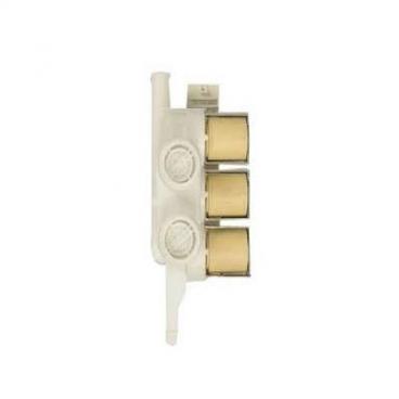 Hotpoint HLSR1090J8WW Triple Water Valve - Genuine OEM