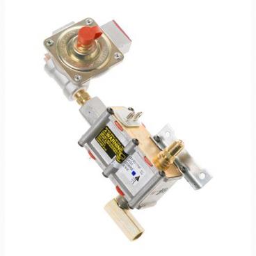 Hotpoint RGB740BEH2WH Safety Valve and Regulator Assembly - Genuine OEM