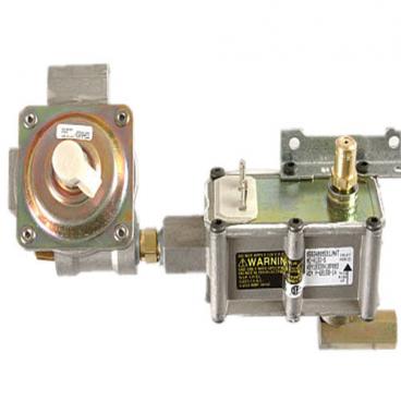 Hotpoint RGB745EEHCBB Gas Saftey Valve and Regulator Assembly - Genuine OEM