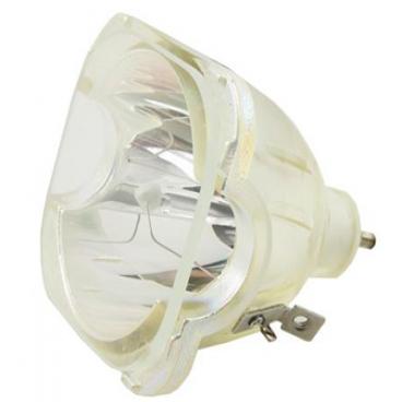 Samsung HLS5065WX Lamp (Only) Genuine OEM