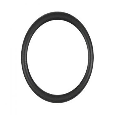 GE Part# WS03X10011 O-Ring Seal (OEM) 11in X 14in