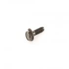 LG Part# 1STZJA3004Q Screw (OEM)