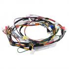 LG LDP6797WW Motor Wire Harness - Genuine OEM