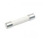 Amana 1340.001 Ceramic Fuse (20 A) - Genuine OEM