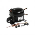 Admiral ATB1910DRW Compressor Genuine OEM