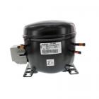 Maytag MZC3122FW01 Compressor - Genuine OEM