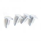 Whirlpool WGD9400SZ0 Door Hinge Screw Kit - Genuine OEM