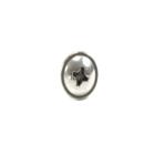 Frigidaire Part# 5304482373 Screw (OEM)