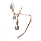 GE GDT625PGJ2BB Wire Harness Assembly (DC)