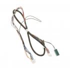 GE GDT655SGJ4BB Door Wire Harness - Genuine OEM