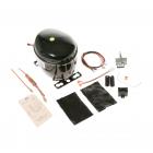 GE GFE28HSKMSS Compressor Kit - Genuine OEM