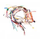 GE JT5500DF2WW Main Wire Harness - Genuine OEM