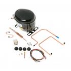 GE TBF14XJBL Compressor Kit (R-12) - Genuine OEM