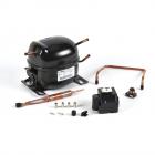 GE ZDI15CWWM Compressor Kit - Genuine OEM