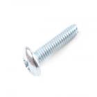 Whirlpool Part# W10132940 Screw (OEM)