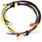 Whirlpool Part# W10887379 Wire Harness - Genuine OEM