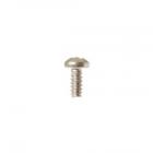 GE Part# WB01X10390 Electrode Screw (OEM)