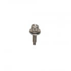 GE Part# WH2X681D Screw (OEM)