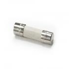 Whirlpool Part# WPW10111181 Fuse (OEM)