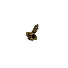 Whirlpool Part# WPW10141645 Rear Access Panel Screw - Genuine OEM