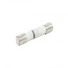 Amana AMV5164ACS in-line Fuse - Genuine OEM