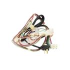 Whirlpool Part# W10315843 Wire Harness (OEM)