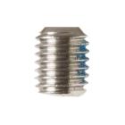 GE Part# WR1X1707 Screw (OEM)