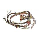 Whirlpool Part# W10349690 Wire Harness (OEM)