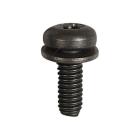 Whirlpool Part# W10673841 Screw (OEM)