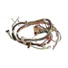 Whirlpool Part# W10899090 Wire Harness (OEM)