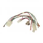 Whirlpool Part# W10157936 Wire Harness (OEM)