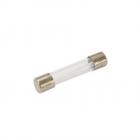 Frigidaire MMV150KBA Fuse - Genuine OEM