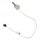 GE PGS950SEF4SS Burner Igniter - Genuine OEM