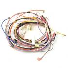 Frigidaire CGEF3032MWA Main Wiring Harness - Genuine OEM