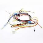 Frigidaire FGGF304DLB2 Main Oven Wiring Harness