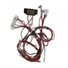 Frigidaire FLXE52RBT7 Main LCD Wiring Harness - Genuine OEM