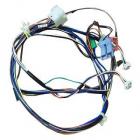 Frigidaire GLTF2940FE2 Washer Control Panel Wiring Harness - Genuine OEM