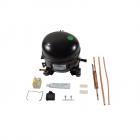 Kelvinator KFU17M7LW0 Compressor Kit Genuine OEM