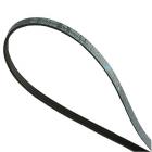 GE DBL333EB3WW Dryer Drive Belt - Genuine OEM