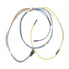 GE JGBP28GEV2WH Wire Harness (High Voltage) - Genuine OEM