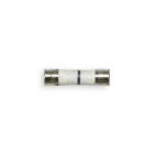 Hotpoint RVM1435WK01 Replacement Line Fuse - Genuine OEM