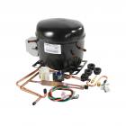 GE TFX26GRDAWW Compressor Kit (EGYS60) Genuine OEM