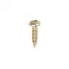 GE Part# WR01K10013 Screw (OEM)