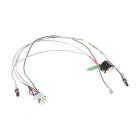 GE CWE23SP3MBW2 Heater Harness & Defrost Thermostat - Genuine OEM