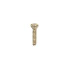 GE EGR2000EM3BB Torx Mounting Screw - Genuine OEM