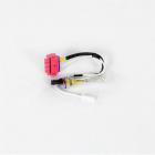 GE GPE12FGKBWW Thermistor - Genuine OEM